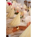 Duni Dunilin szalvéta Opulent Cream 40x40cm