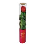 Bolci tejcsokoládé rózsa henger 20g EBK184